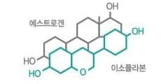 회색 선의 에스트로겐 고리 구조와 청록 선의 이소플라본 고리 구조를 겹쳐 그린 구조식
