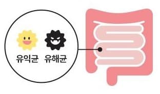 웃는 유익균과 찡그린 유해균을 담은 원, 그 옆의 분홍 장 그림 (그림 속 글자: 유익균, 유해균)