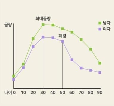 연령과 칼슘 섭취에 따른 골질량 변화 선 그래프. 세로축 골량, 가로축 나이 0·10·20·30·40·50·60·70·80·90, 범례 남자(초록) · 여자(보라). 30세 무렵 최대골량, 여자는 50세 폐경 뒤 크게 떨어진다는 표지