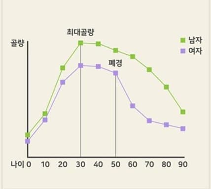 연령에 따른 골질량 변화 선 그래프. 세로축 골량, 가로축 나이 0·10·20·30·40·50·60·70·80·90, 범례 남자(초록) · 여자(보라). 30세 무렵 최대골량, 여자는 50세 폐경 뒤 크게 떨어진다는 표지