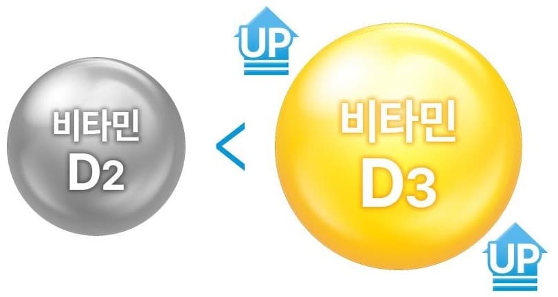 은색 구슬 비타민 D2 보다 큰 노란 구슬 비타민 D3 — 부등호(<)와 UP 화살표 둘