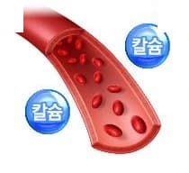 적혈구가 흐르는 혈관 단면 그림과 칼슘 방울 둘