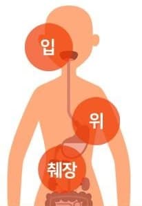 사람 몸 그림에 주황색 원 셋이 얹혀 입 · 위 · 췌장 자리를 가리킨다