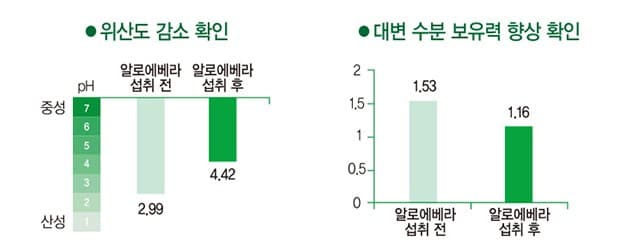 ● 위산도 감소 확인 — pH 알로에베라 섭취 전 2.99 / 알로에베라 섭취 후 4.42 (중성 7 ~ 산성 1). ● 대변 수분 보유력 향상 확인 — 알로에베라 섭취 전 1.53 / 알로에베라 섭취 후 1.16