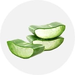 알로에 조각
