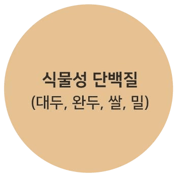 식물성 단백질 (대두, 완두, 쌀, 밀)